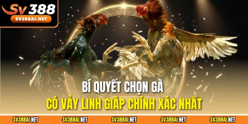 Bí quyết chọn gà có vảy linh giáp chính xác nhất