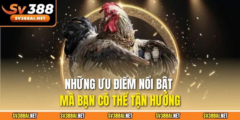 Những ưu điểm nổi bật mà bạn có thể tận hưởng